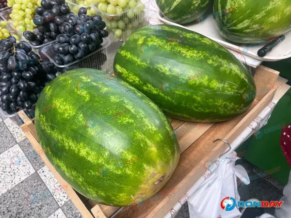 В Ростове в мае начали продавать арбузы