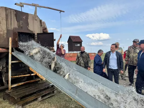 В реку Маныч в Ростовской области выпустили 4 тонны белого толстолобика