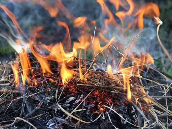 В Ростовской области объявили штормовое предупреждение на 9 мая