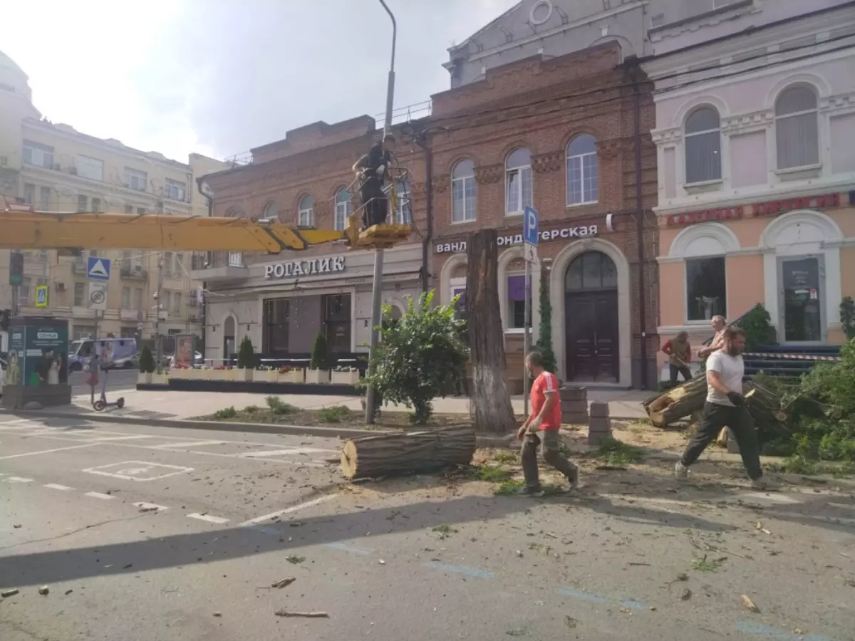 Во время жуткого ветра в Ростове упало 13 деревьев