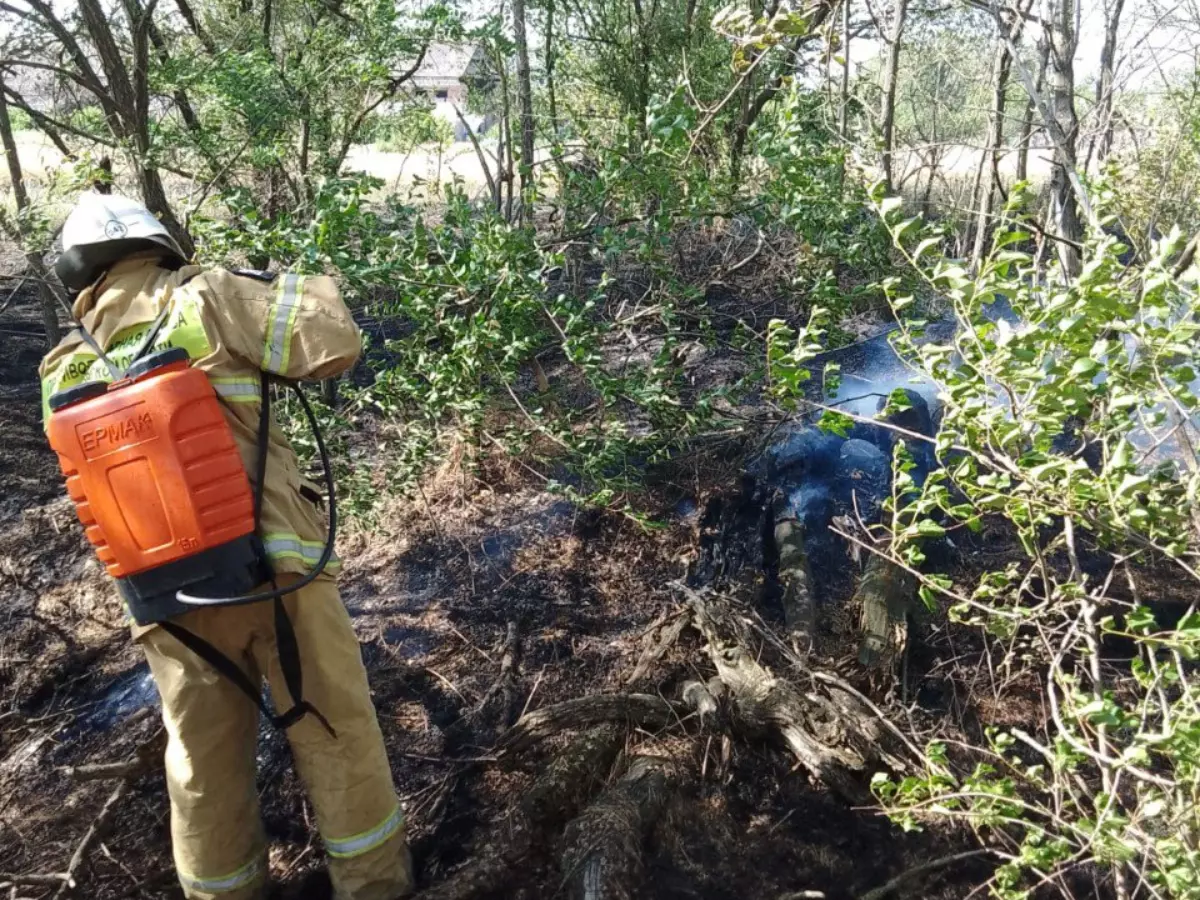 В Каменском районе на минувшей неделе сгорело 3,5 гектара леса