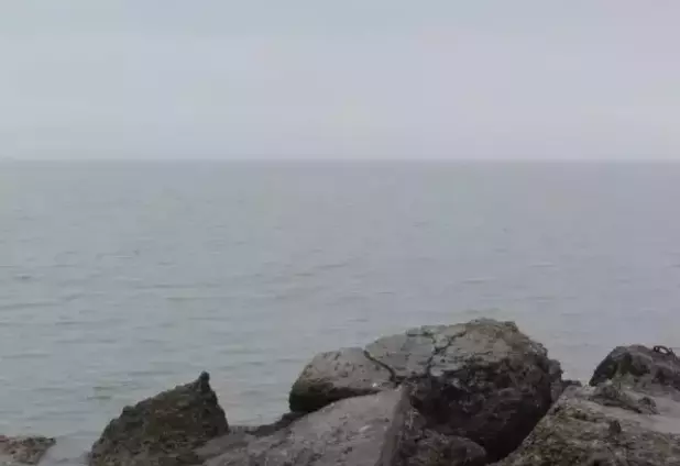 Средства ПВО за ночь сбили 11 беспилотников над Азовским морем