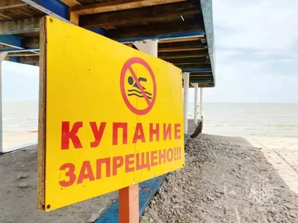 В Матвеево-Курганском районе мужчина утонул в реке Миус