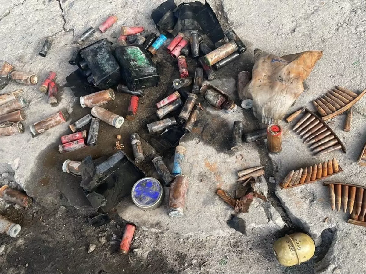 В Ростове мужчина в водоеме нашел гранаты и пули с помощью магнита