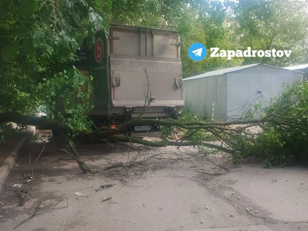 На Западном в Ростове водитель грузовика снес во дворе дерево