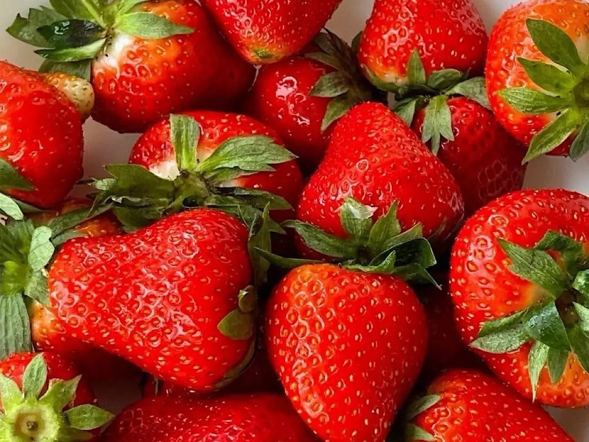 Нутрициолог из Ростова рассказала, как правильно выбрать вкусную и сладкую клубнику