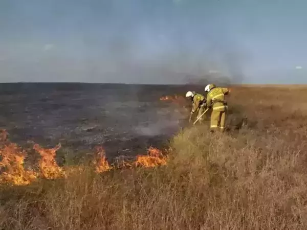 В Ростовской области объявили штормовое предупреждение из-за пожароопасности