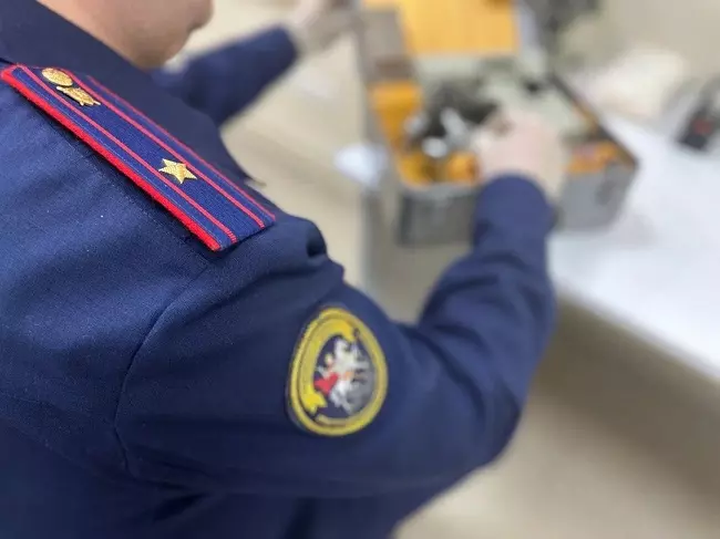 СК РФ проверит информацию о пристающем к детям жителе Аксая