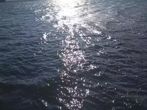 В Ростовской области за неделю утонули три человека, включая ребенка