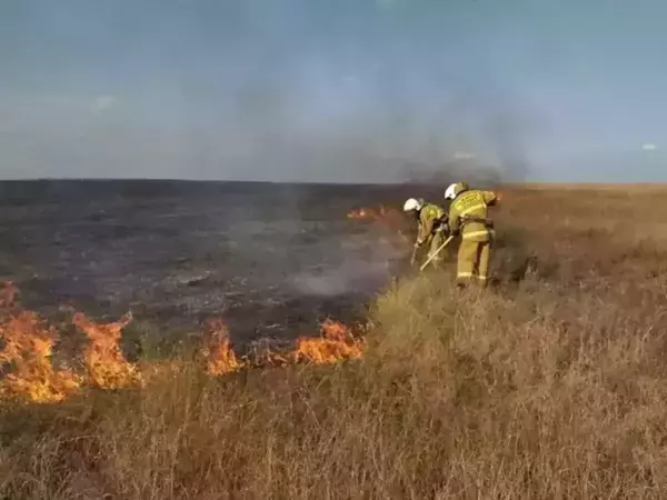 В Ростовской области объявили оранжевый уровень пожароопасности