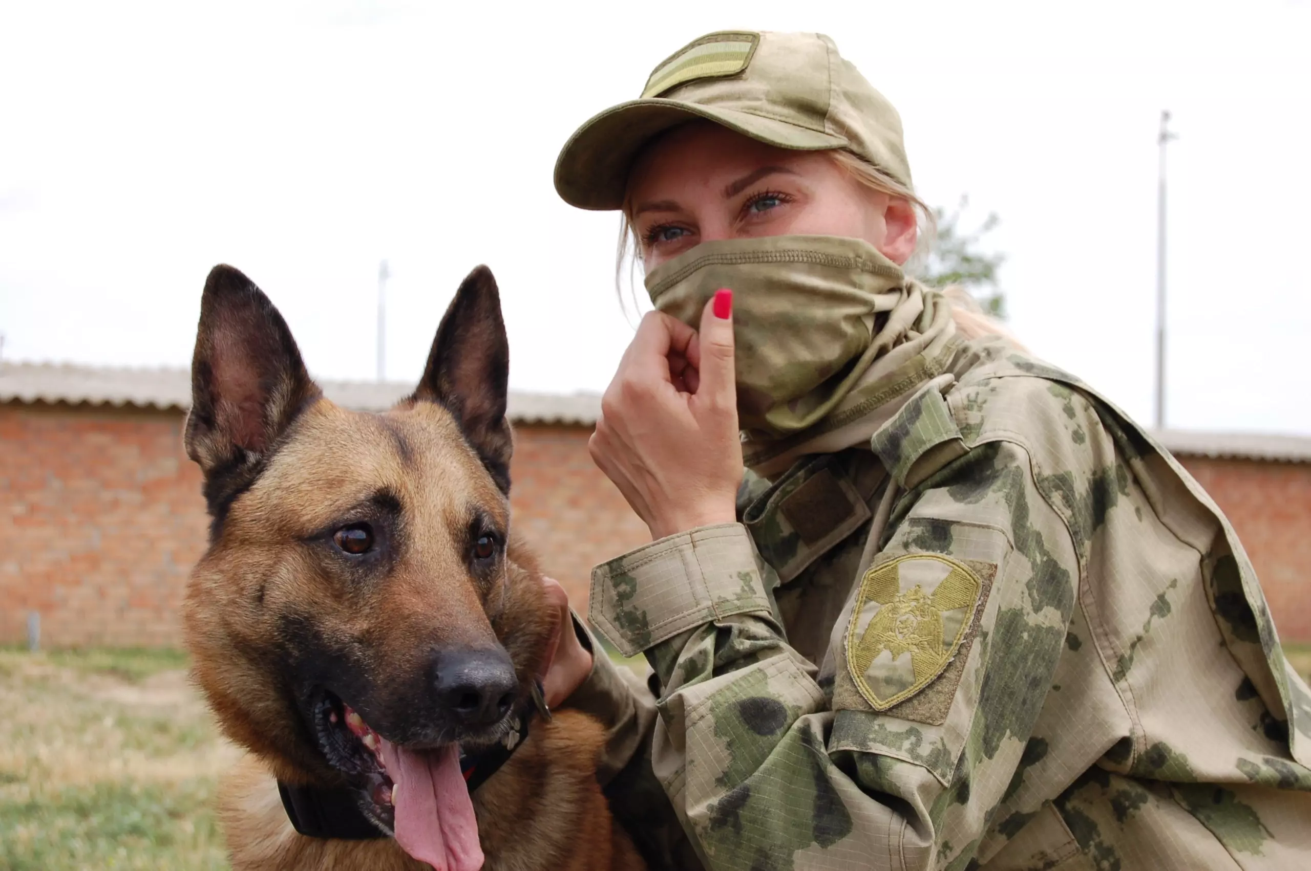На Дону прошел чемпионат среди военных кинологов Росгвардии Южного округа: фоторепортаж