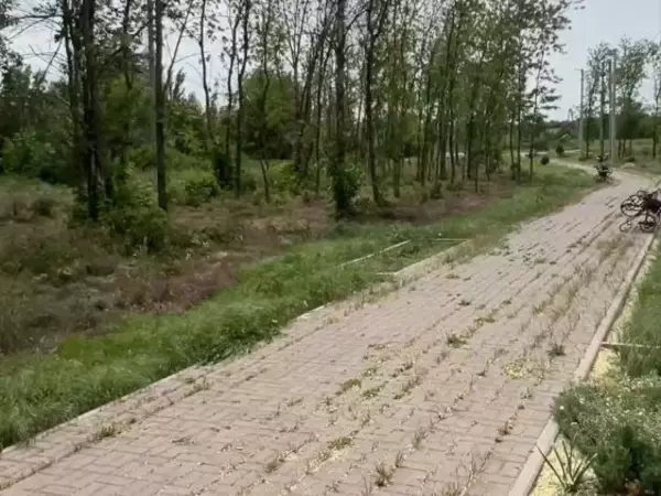 Сквер в поселке Возрожденном Аксайского района утопает в зарослях