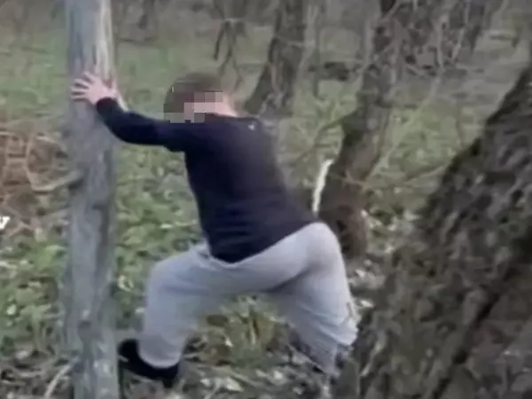 В Ростове дети своими силами убирают сухостои в Кумженской роще
