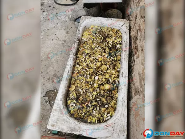 Грибник из Ростовской области собрал на лесных полянах ванну зеленушек