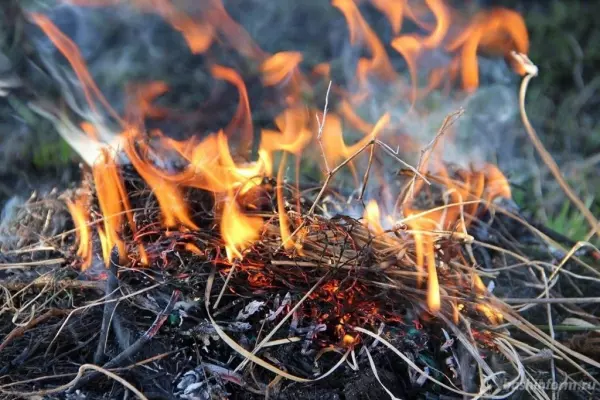 На Дону объявили штормовое предупреждение из-за чрезвычайной пожароопасности