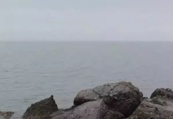 Средства ПВО за ночь сбили 11 беспилотников над Азовским морем