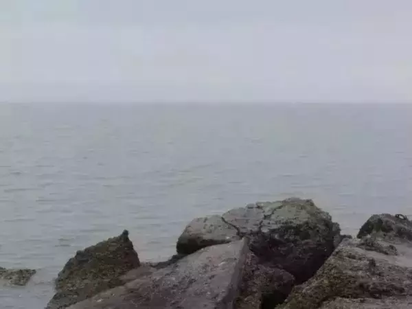 Над акваторией Азовского моря сбили один беспилотник
