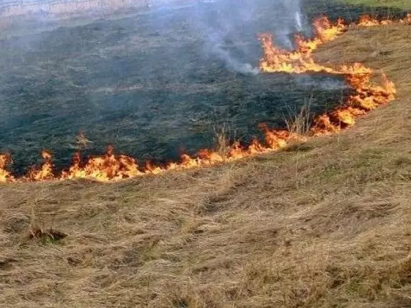 В Аксайском районе на 100 квадратных метрах горела трава
