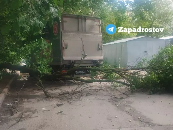 На Западном в Ростове водитель грузовика снес во дворе дерево