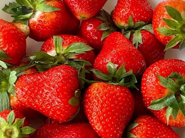 Нутрициолог из Ростова рассказала, как правильно выбрать вкусную и сладкую клубнику