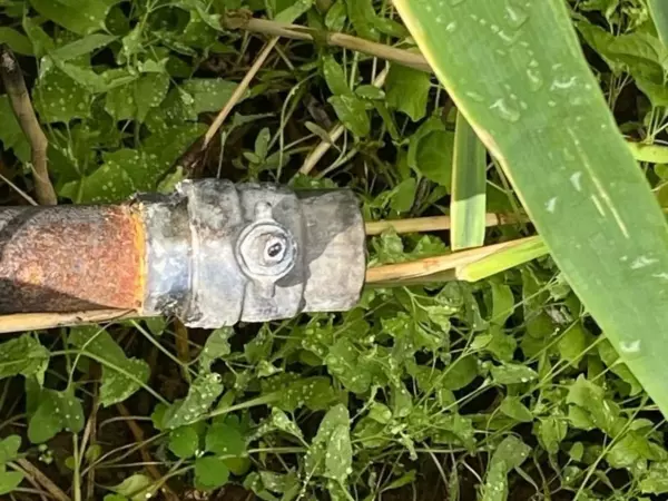 В Ростовской области зафиксировали сброс нечистот в Северский Донец