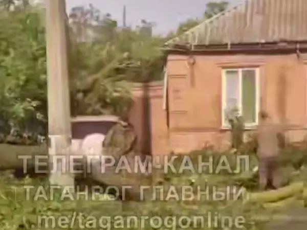 В Таганроге из-за сильного ветра огромное дерево упало на жилой дом