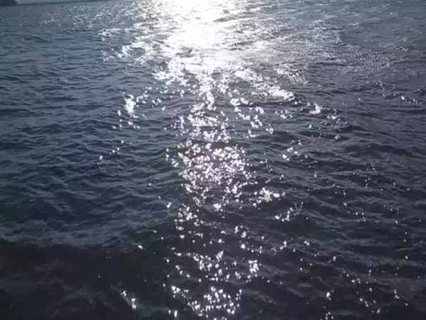 Над Азовским морем сбили беспилотник днем 12 июля