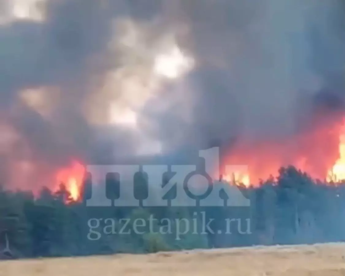 Площадь ландшафтного пожара в Каменском районе увеличилась до 20 гектаров