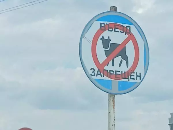 В Ремонтненском районе автомобилисты заметили необычный дорожный знак на трассе