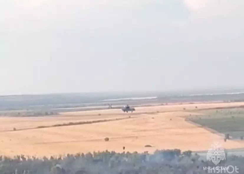 Крупный лесной пожар в Багаевском районе потушили