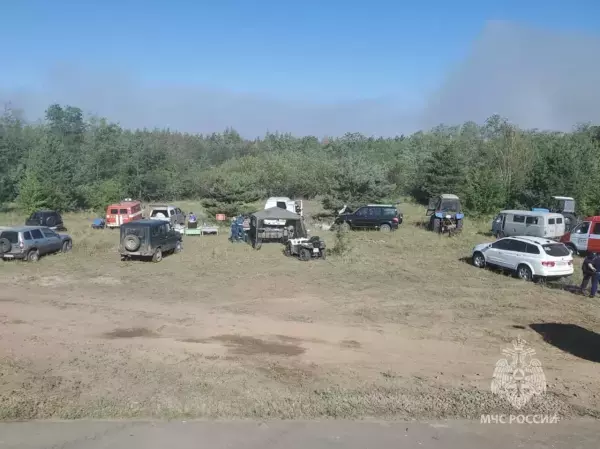 Лесной пожар потушили в Каменском районе