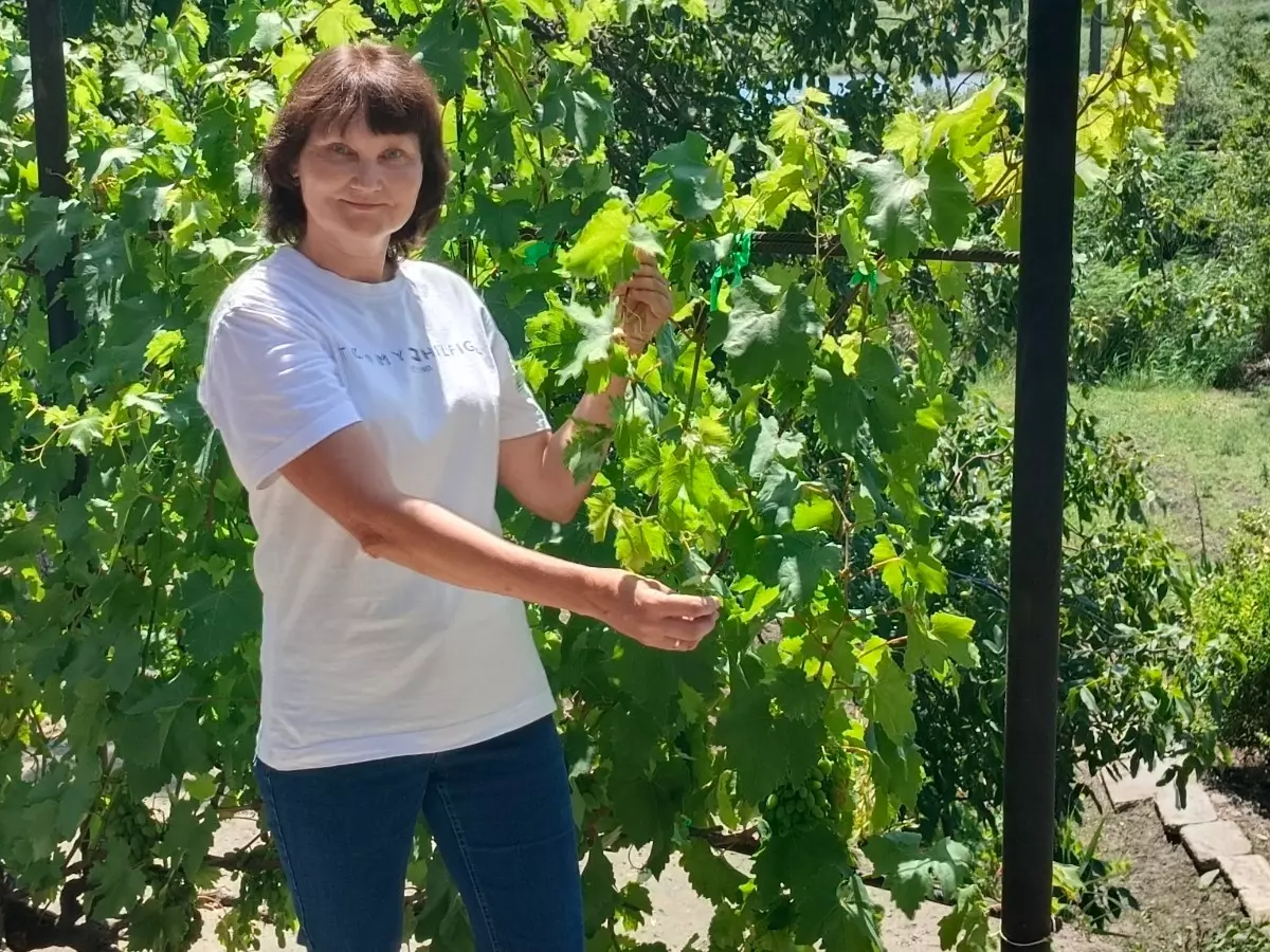 Дачница из Ростовской области Елена Нормухаметова рассказала, как бороться с хлорозом