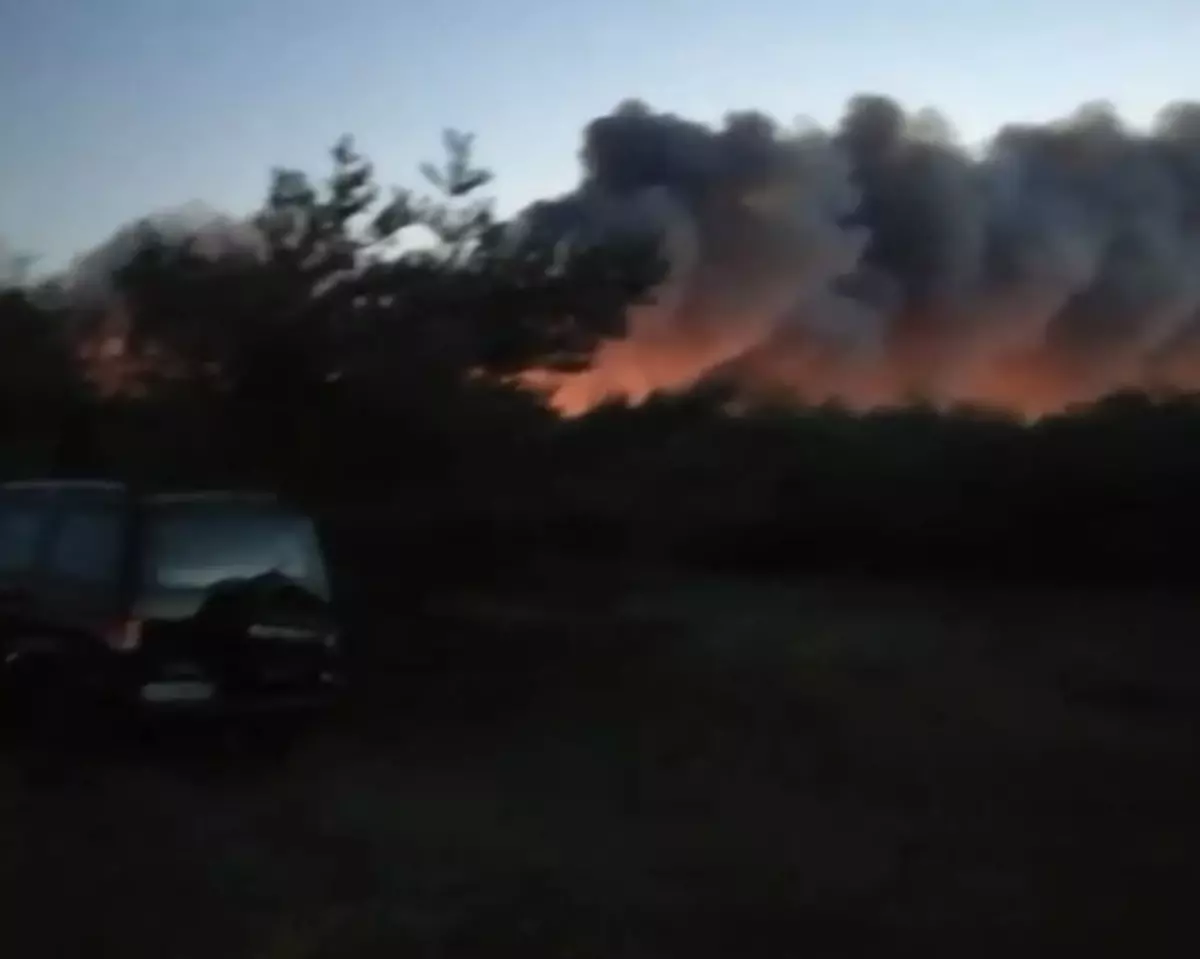 Кадры крупного лесного пожара в Каменском районе
