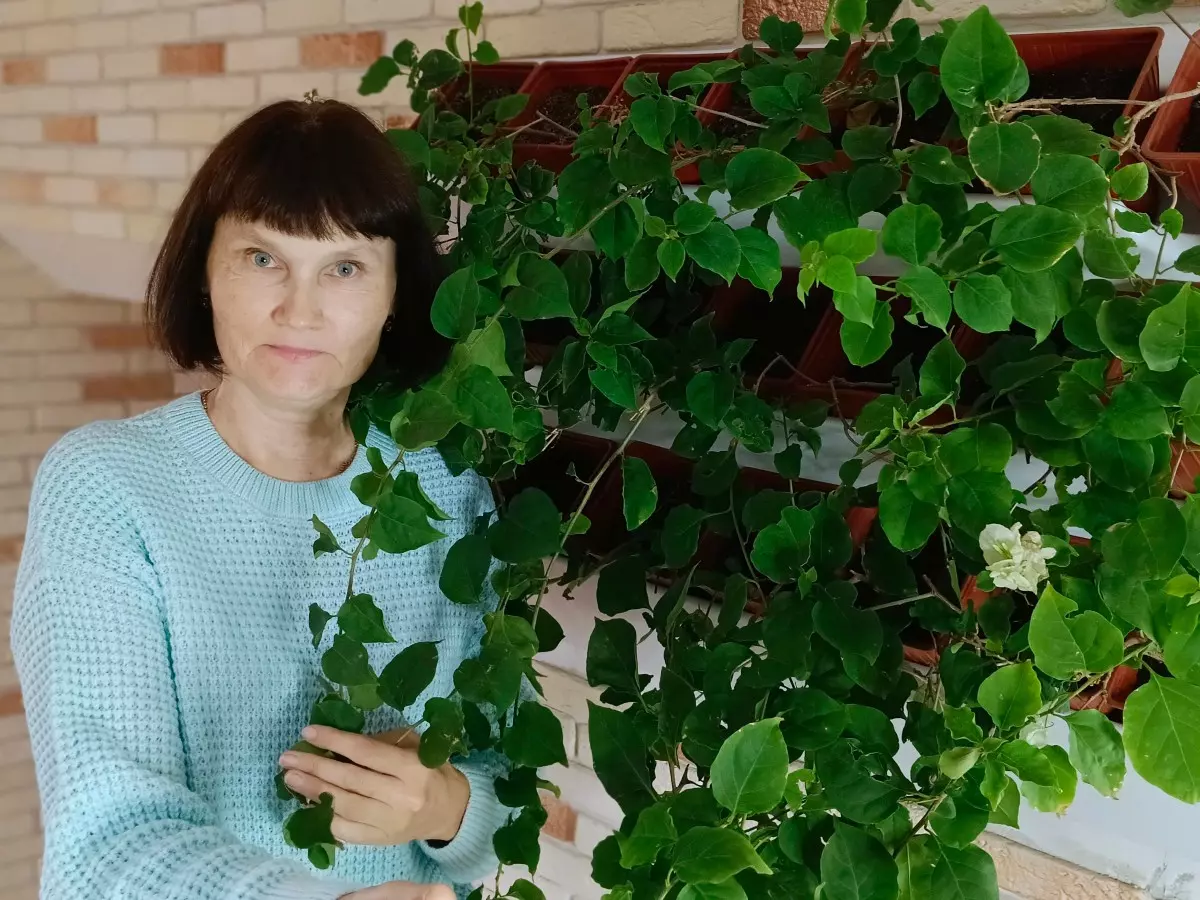 Дачница из Ростовской области рассказала, как ухаживать за комнатными лианами