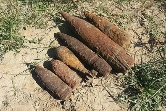 Около 200 боеприпасов обнаружили в Ростовской области с начала 2025 года