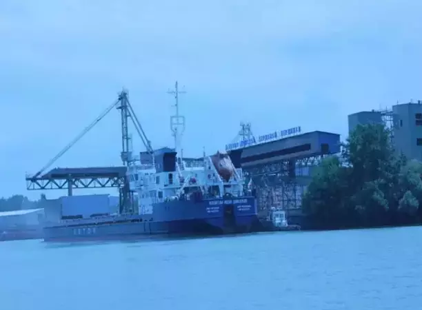 Матрос грузового судна погиб, упав за борт в Ростовской области