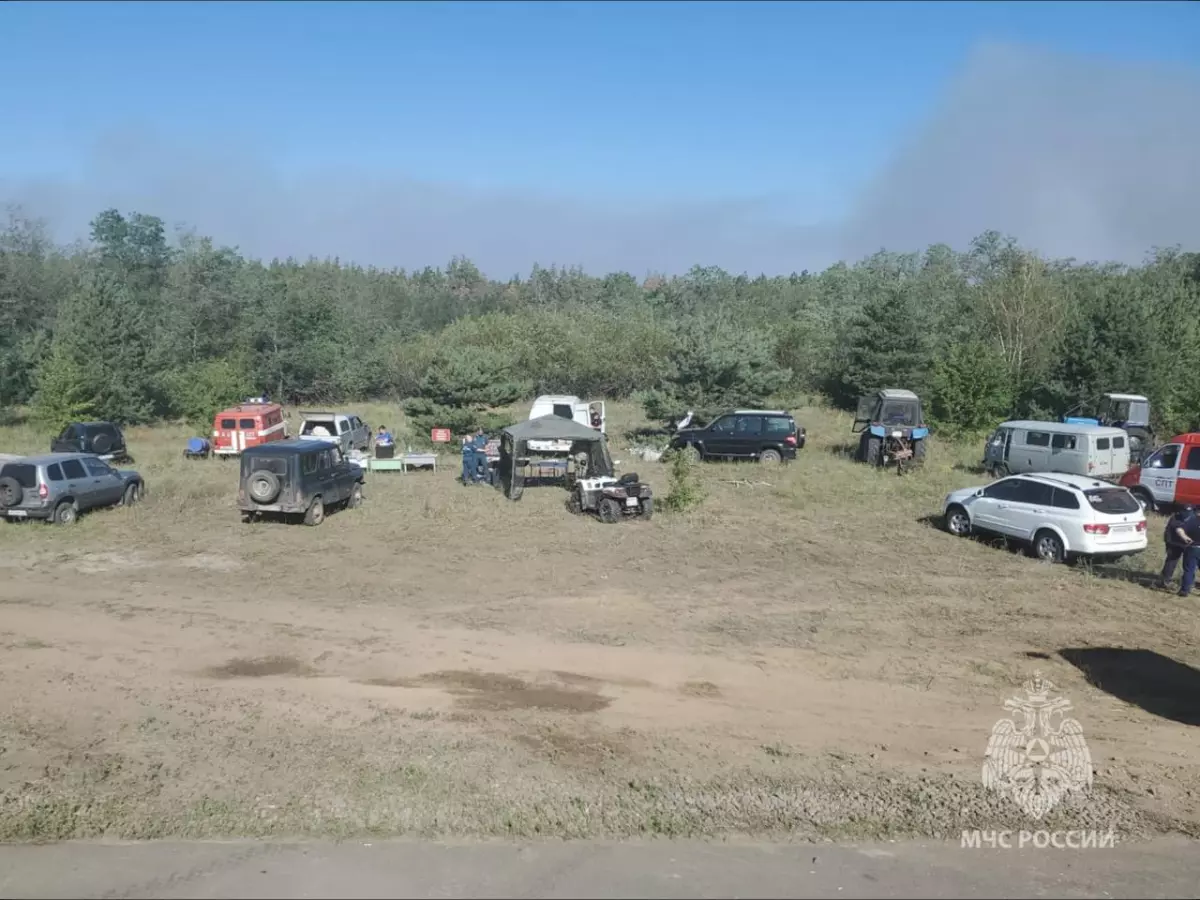 Для тушения пожара в Каменском районе не будут привлекать авиацию