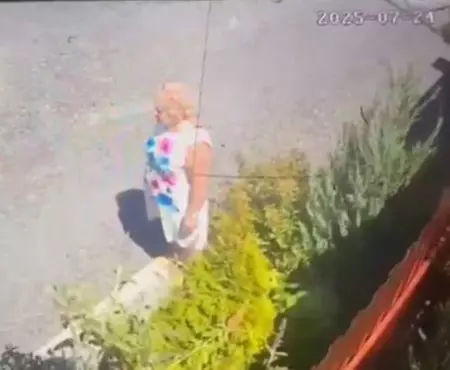 В Батайске женщина украла дерево и цветы с клумбы