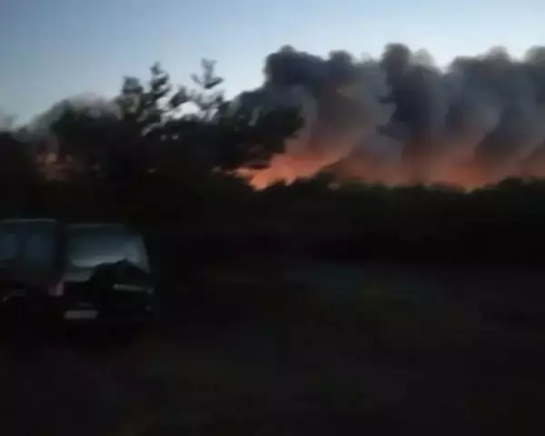В Каменском районе сотни гектаров леса горят больше 15 часов подряд