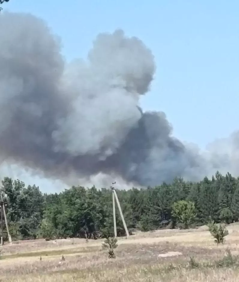 В Каменском районе Ростовской области на площади 97 гектаров полыхает лес