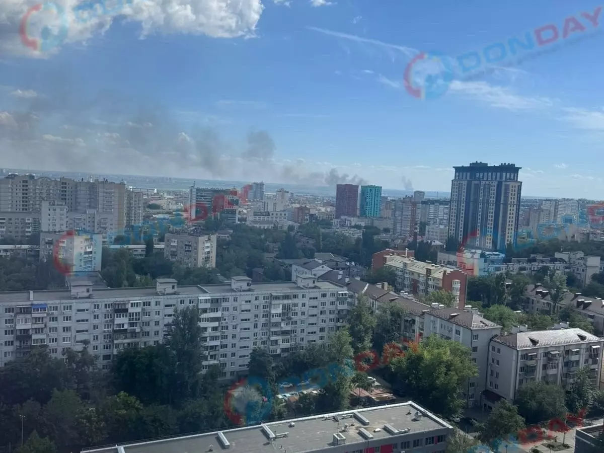В Ростове на улице Луговой загорелась сухая трава