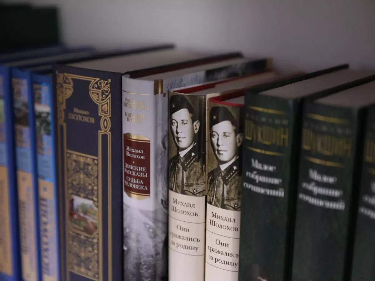 Почти 100 тысяч новых книг появятся в фондах донских муниципальных библиотек