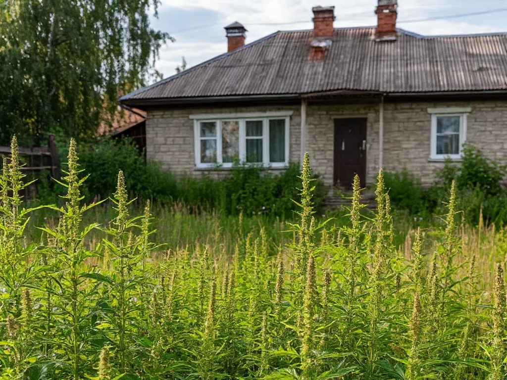 Ростовских дачников предупредили о штрафах и изъятии земель за захламление участков