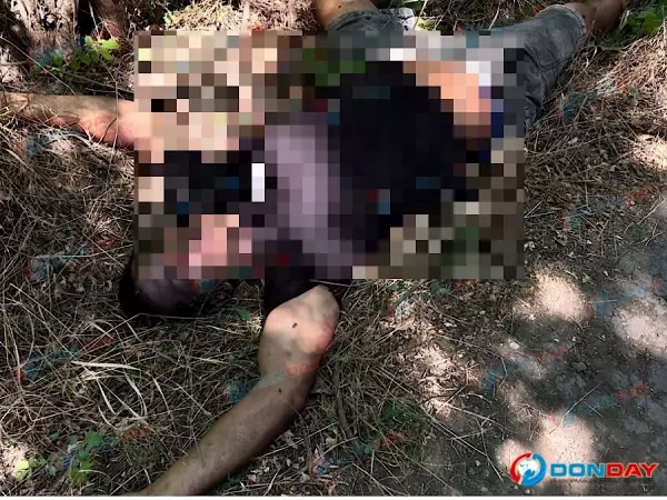 Фото к материалу: Под Ростовом обнаружили разлагающийся труп мужчины