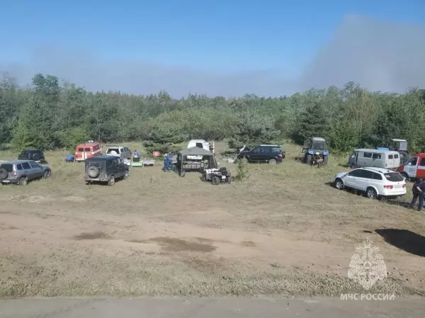 Фото к материалу: Пожар в лесу Каменского района увеличился до 427 гектаров