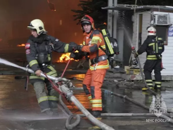 Фото к материалу: В Ростовской области за сутки потушили 39 пожаров