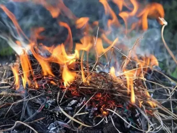 В Ростовской области объявили штормовое предупреждение из-за жары 8 июля