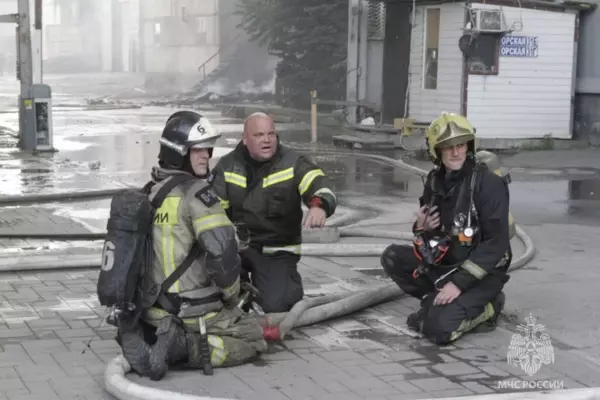Фото к материалу: В Ростовской области за сутки произошло 25 ландшафтных пожаров
