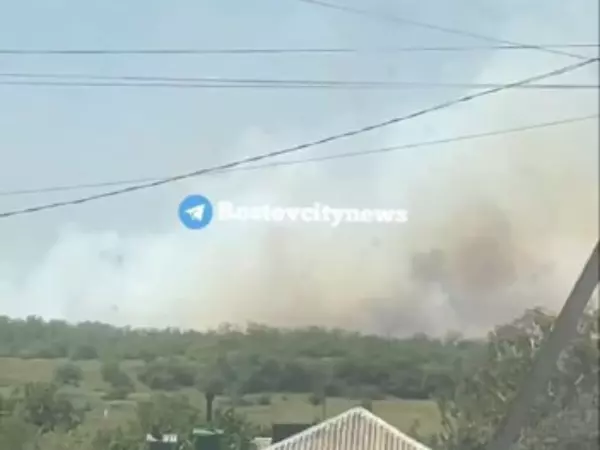 Фото к материалу: В Ростовской области горят сельхозполя