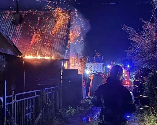 Фото к материалу: В Ростовской области дотла сгорел дачный дом